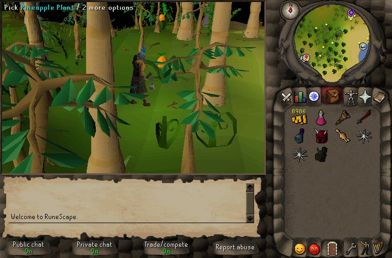 members karamja jungle.jpg